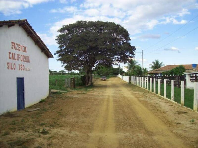 Fazenda à venda, 264hectare - Foto 10