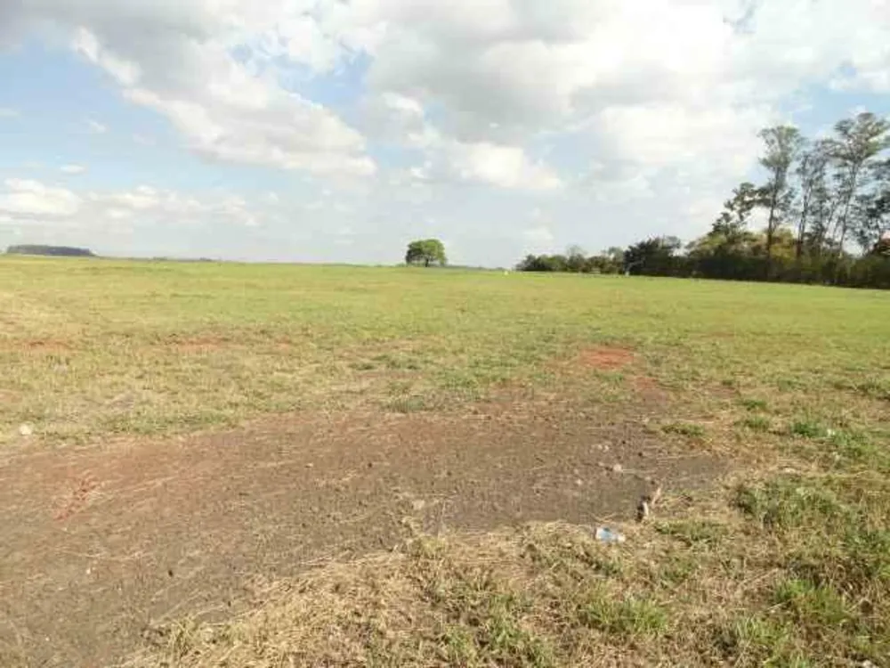 Terreno, 3 hectares - Foto 1