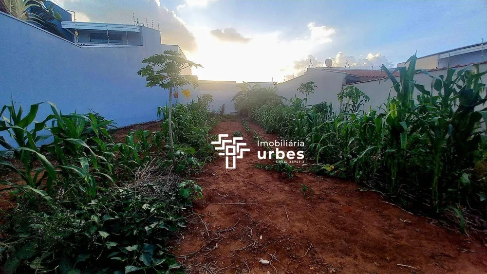 Terreno, 300 m² - Foto 3