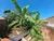 Terreno, 250 m² - Foto 4
