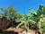 Terreno, 250 m² - Foto 2