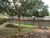 Terreno, 889 m² - Foto 1