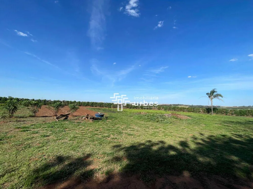 Terreno, 2 hectares - Foto 6
