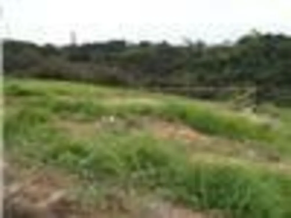 Terreno, 462 m² - Foto 3