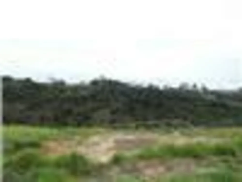 Terreno, 462 m² - Foto 1