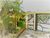 Casa, 3 quartos, 135 m² - Foto 2