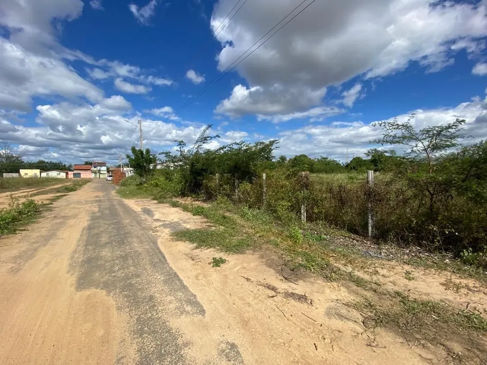 Terreno - Foto 1