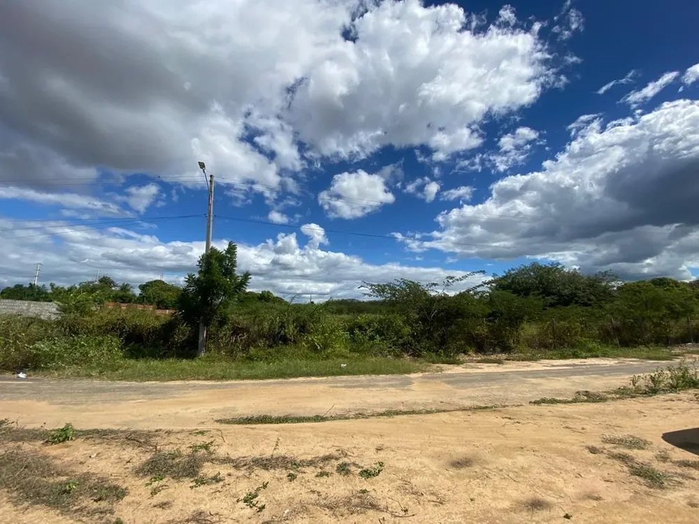 Terreno - Foto 2