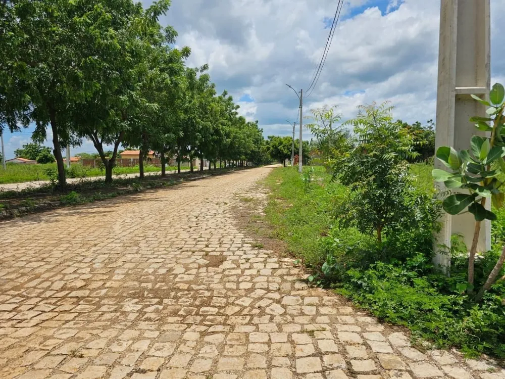 Terreno - Foto 2