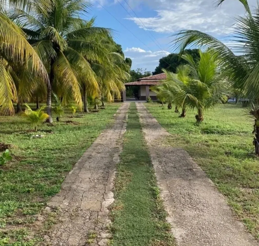 Chácara, 2 quartos - Foto 3