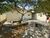 Casa, 3 quartos, 220 m² - Foto 3