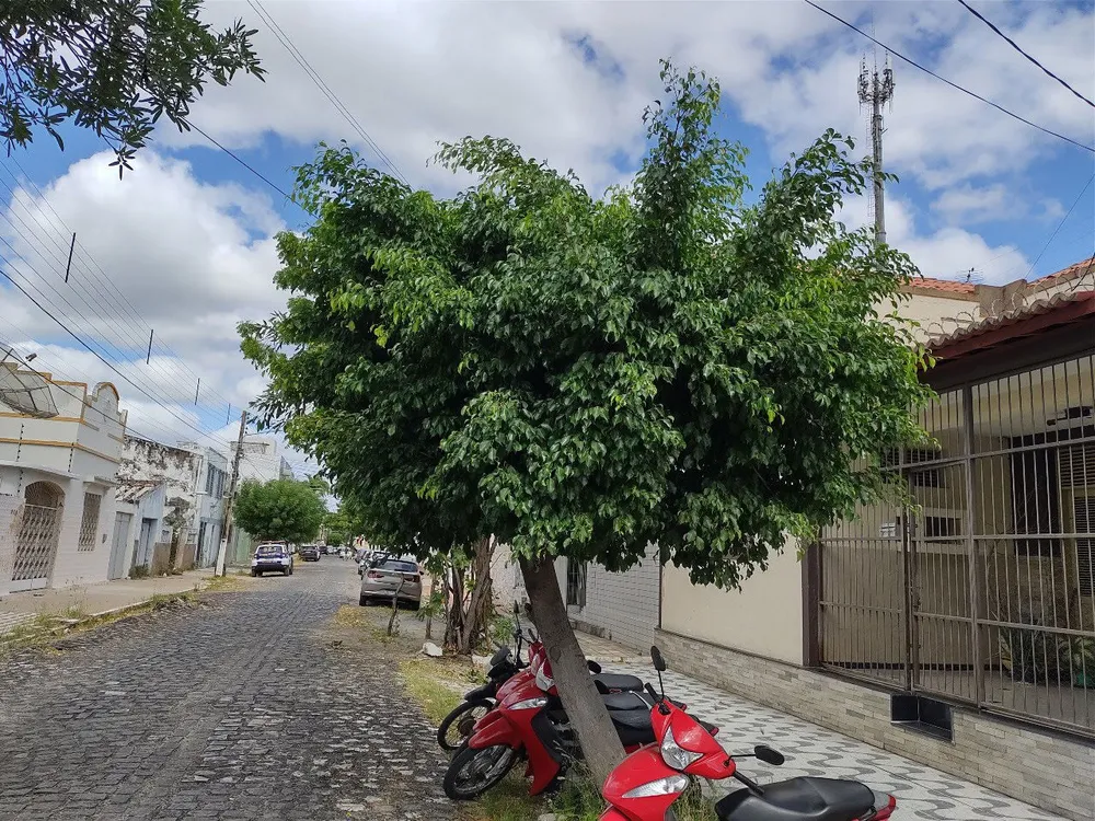 Casa, 3 quartos, 150 m² - Foto 1