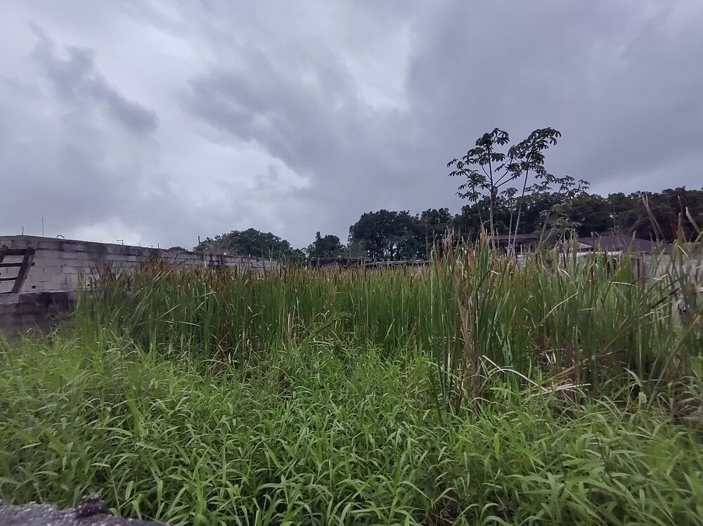Terreno, 254 m² - Foto 2