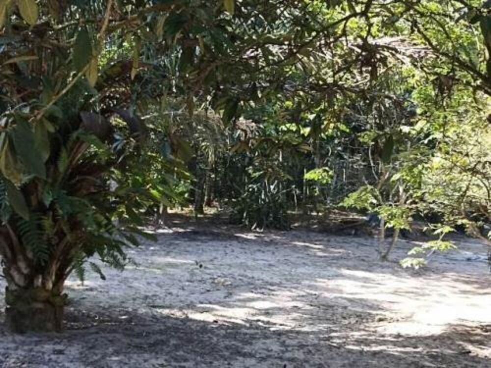 Chácara, 3 quartos - Foto 6