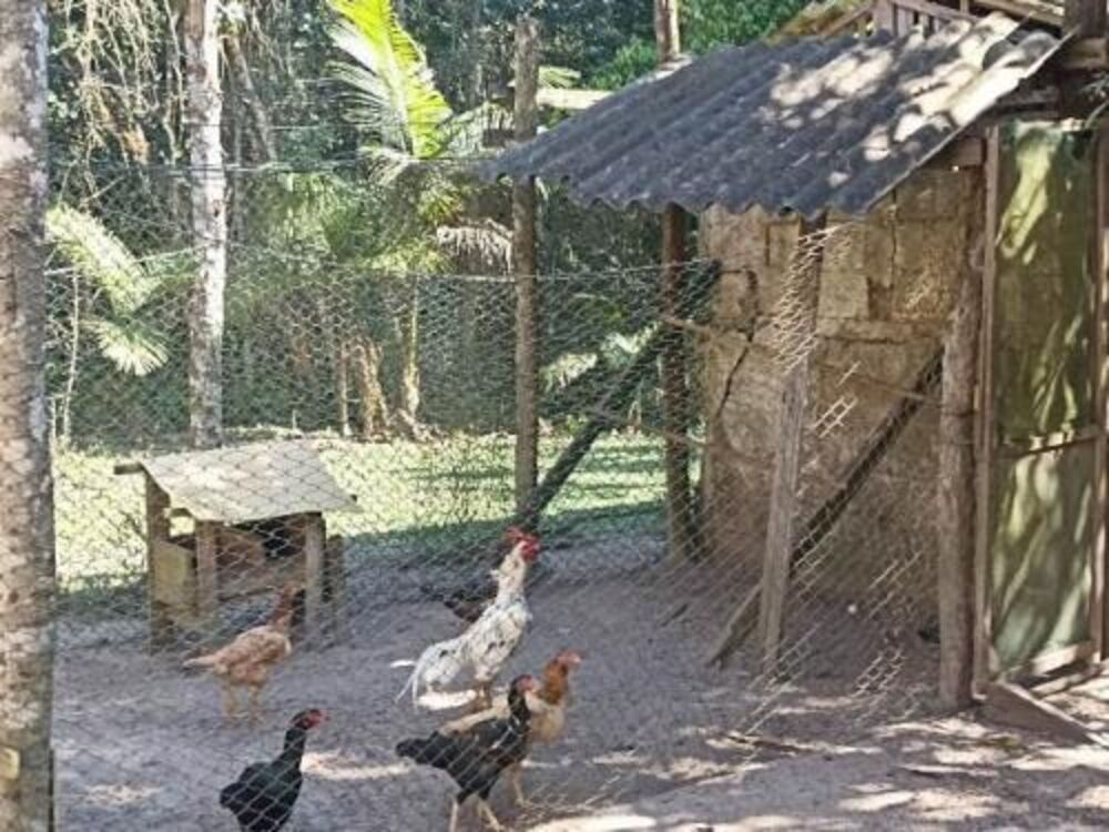 Chácara, 3 quartos - Foto 8