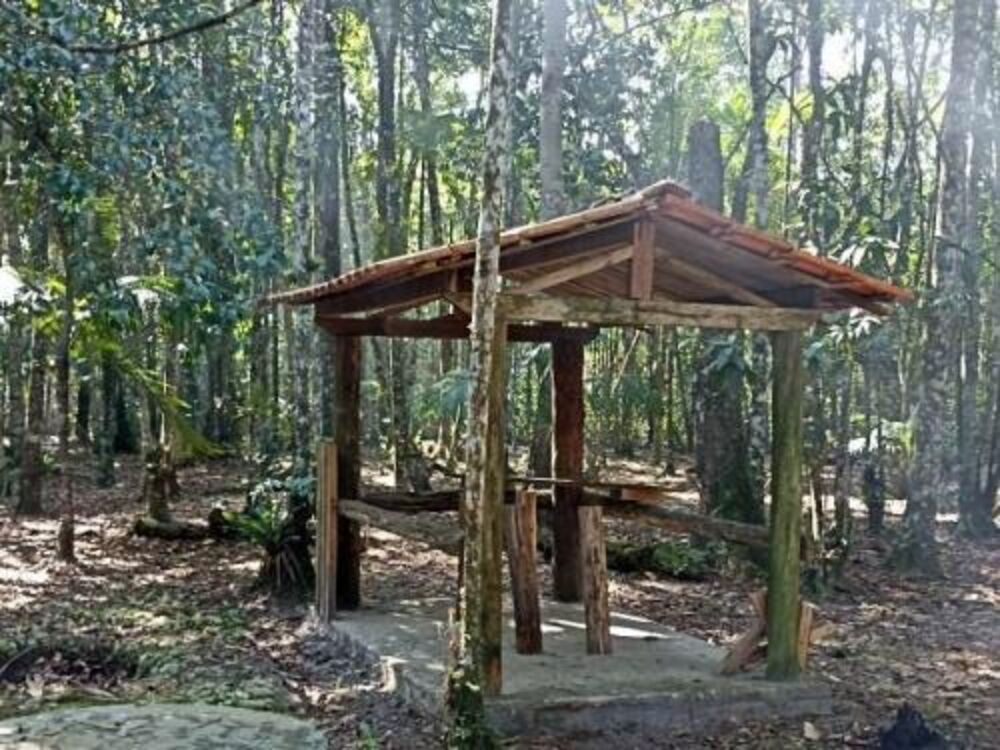 Chácara, 3 quartos - Foto 15