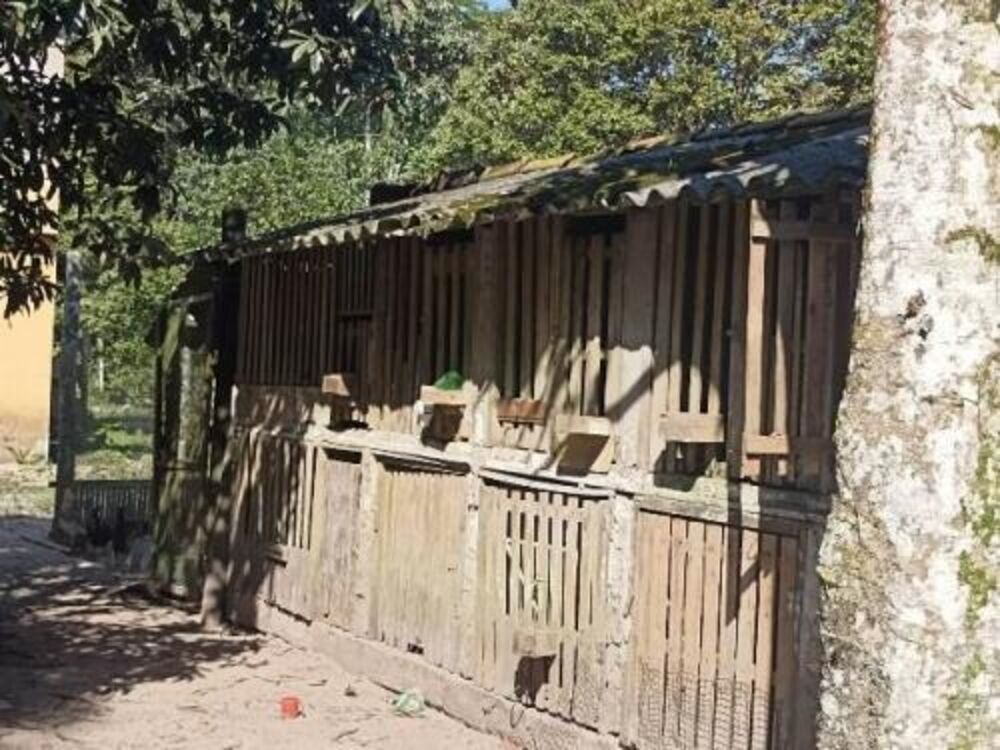 Chácara, 3 quartos - Foto 23