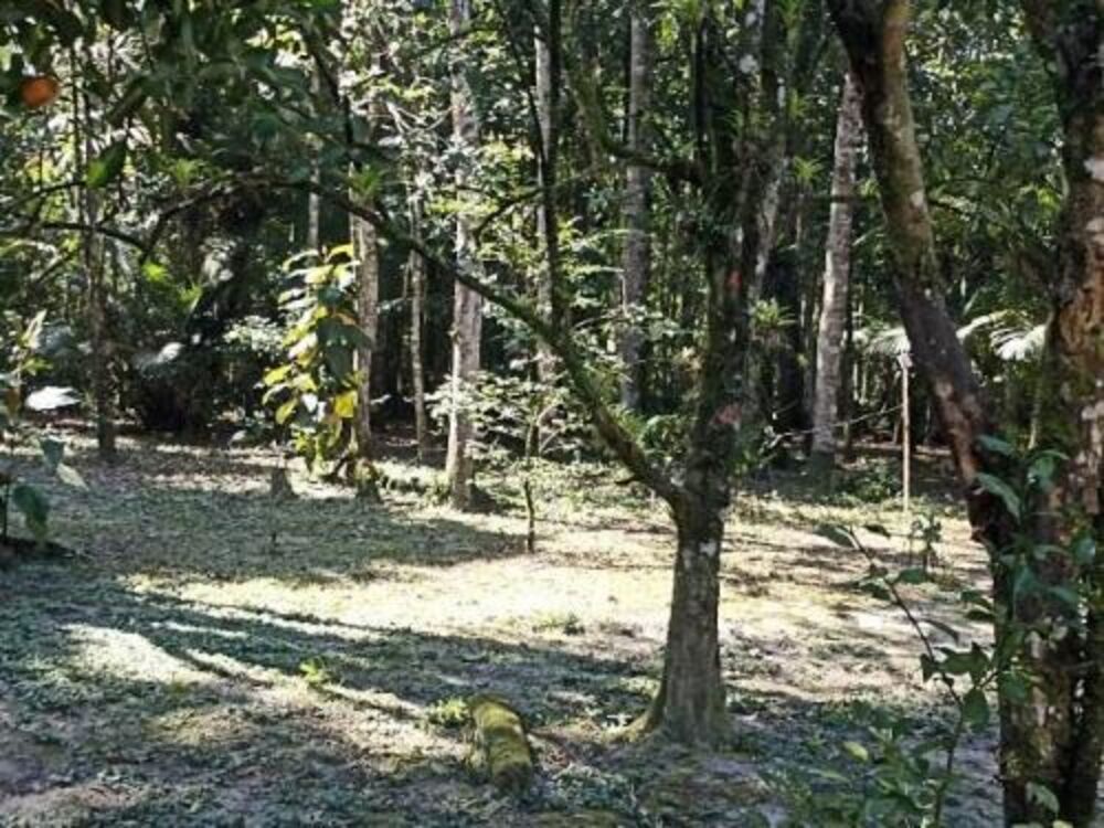 Chácara, 3 quartos - Foto 5