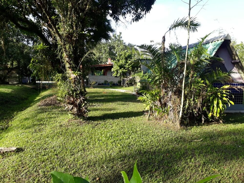 Chácara, 3 quartos - Foto 3