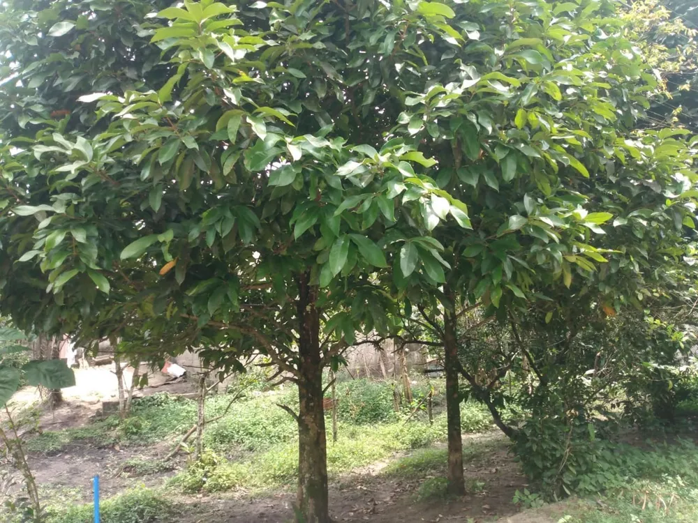 Terreno, 400 m² - Foto 10