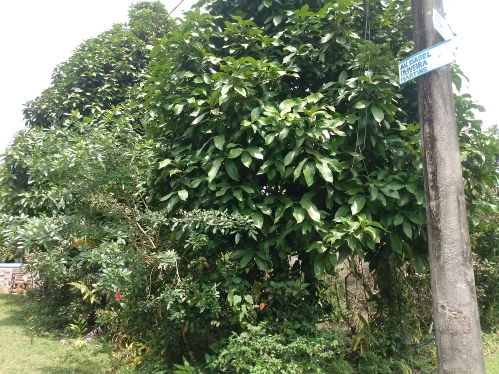 Terreno, 400 m² - Foto 13