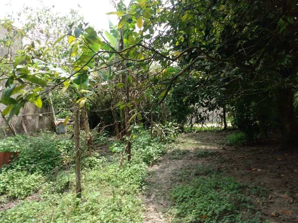 Terreno, 400 m² - Foto 14