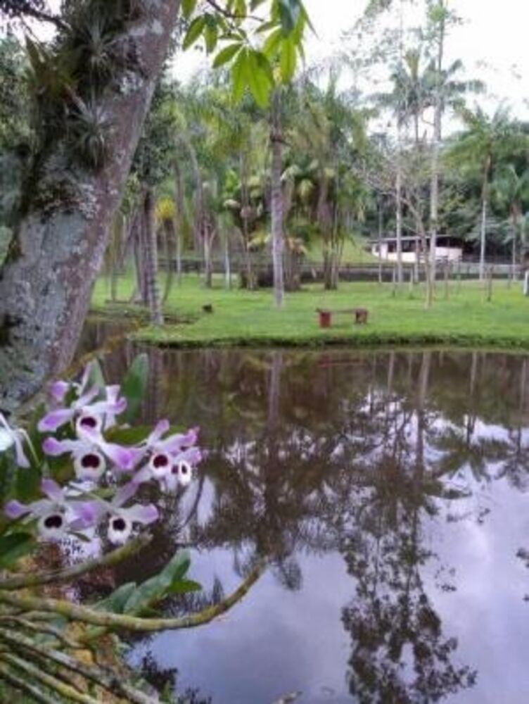 Sítio, 5 quartos, 1 hectares - Foto 3