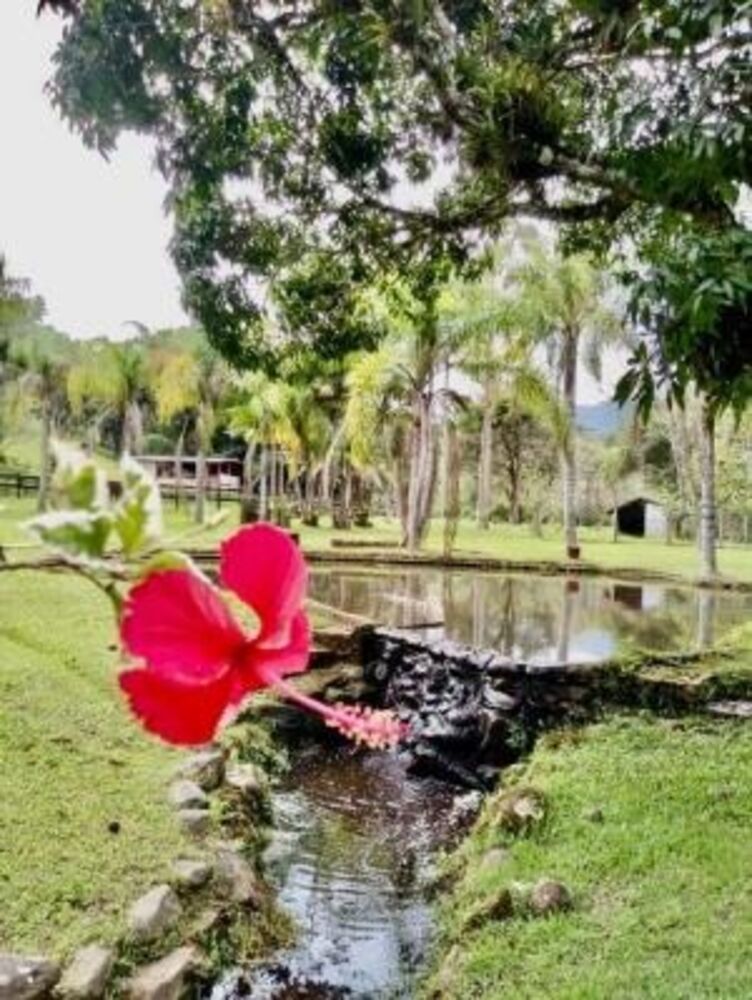 Sítio, 5 quartos, 1 hectares - Foto 1