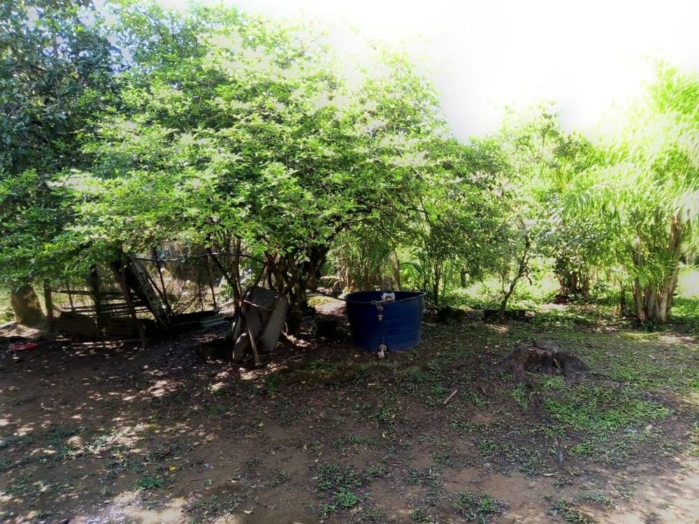 Chácara, 2 quartos - Foto 4