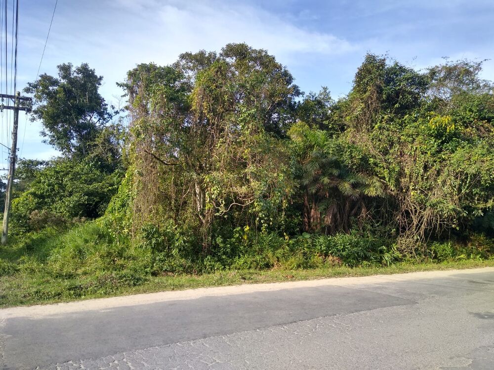 Terreno, 995 m² - Foto 1