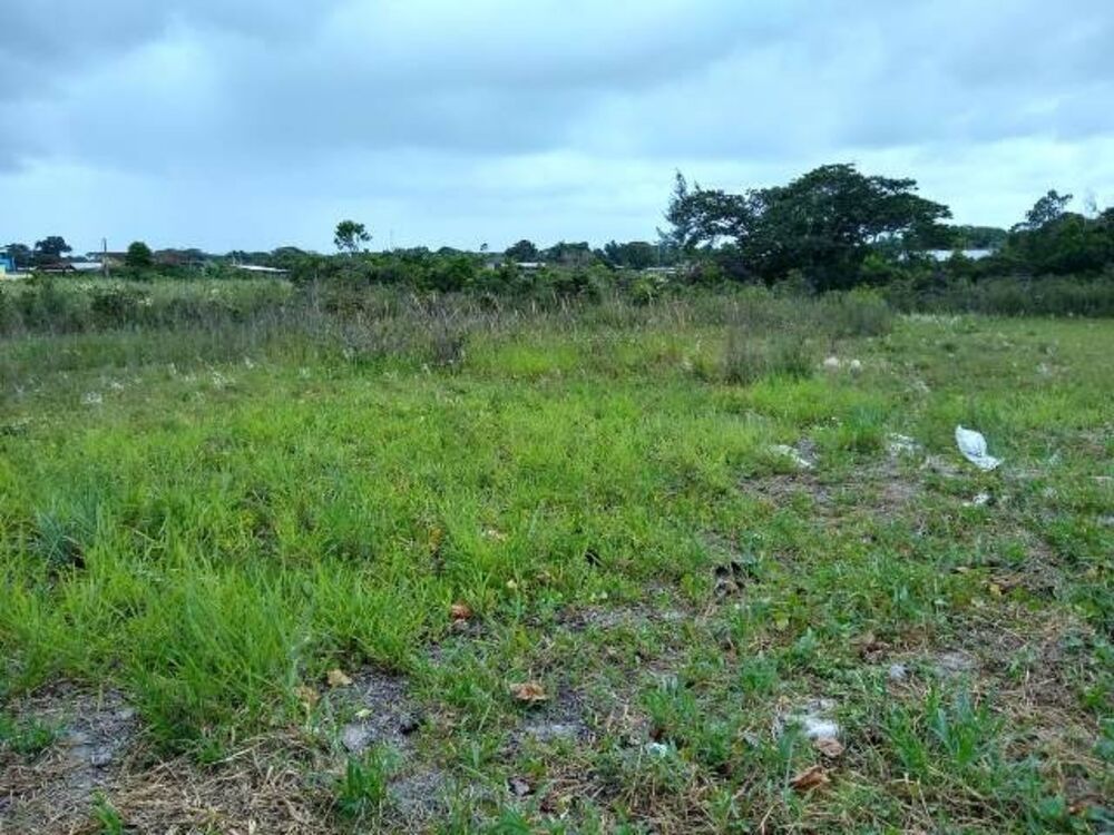 Terreno, 271 m² - Foto 3