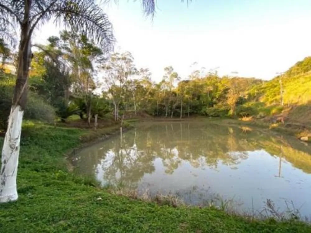 Chácara, 4 quartos, 3 hectares - Foto 8