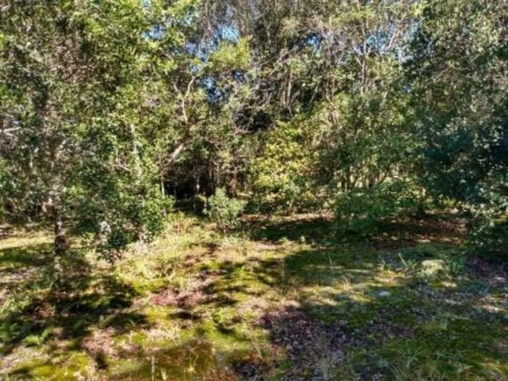 Terreno, 1000 m² - Foto 5