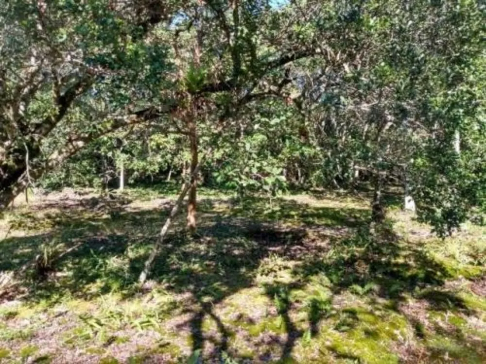Terreno, 1000 m² - Foto 3