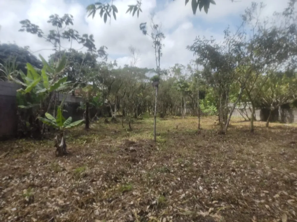 Terreno, 1680 m² - Foto 6