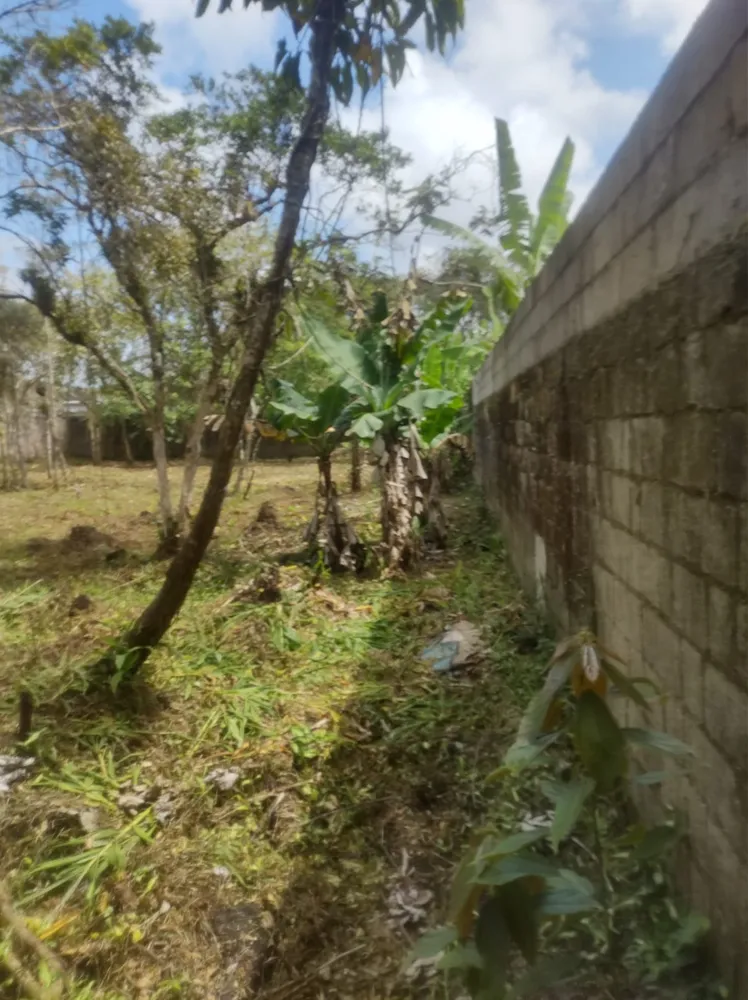 Terreno, 1680 m² - Foto 10