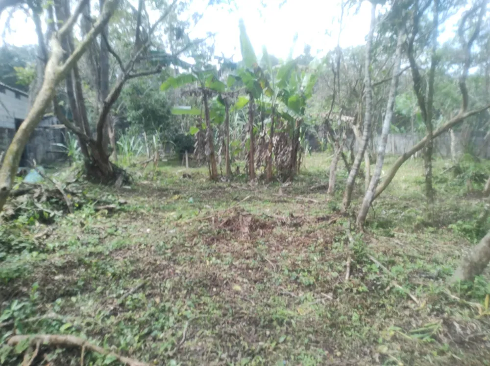 Terreno, 1680 m² - Foto 2