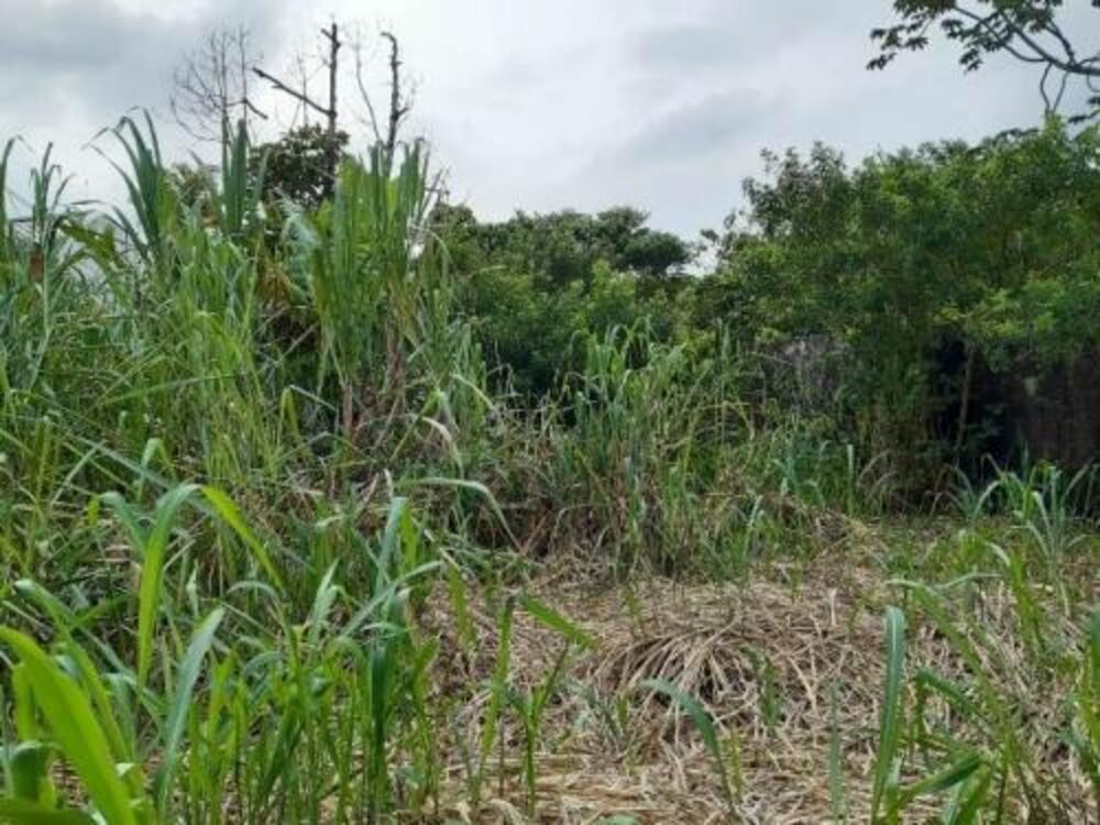 Terreno, 297 m² - Foto 4