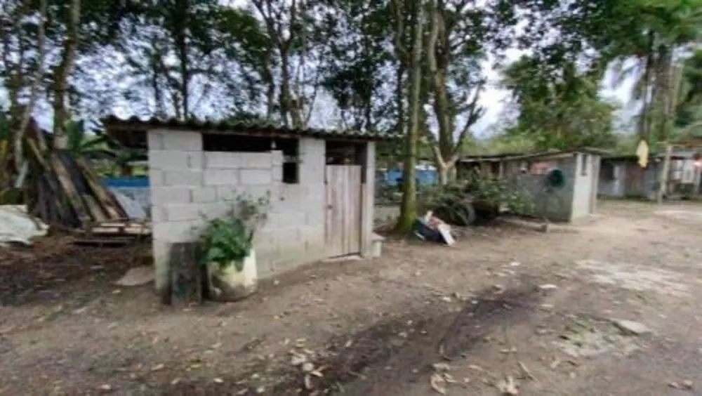 Chácara, 4 quartos, 5000 m² - Foto 5