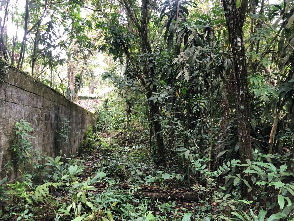 Chácara, 2 quartos, 1000 m² - Foto 3