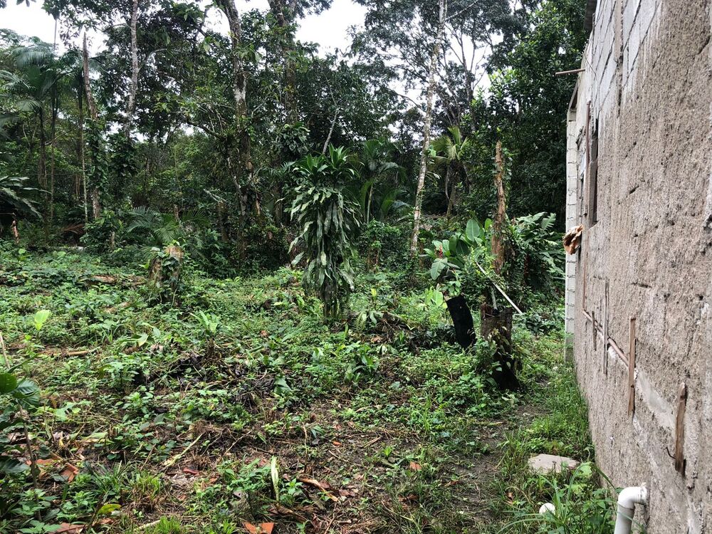 Chácara, 2 quartos, 1000 m² - Foto 4