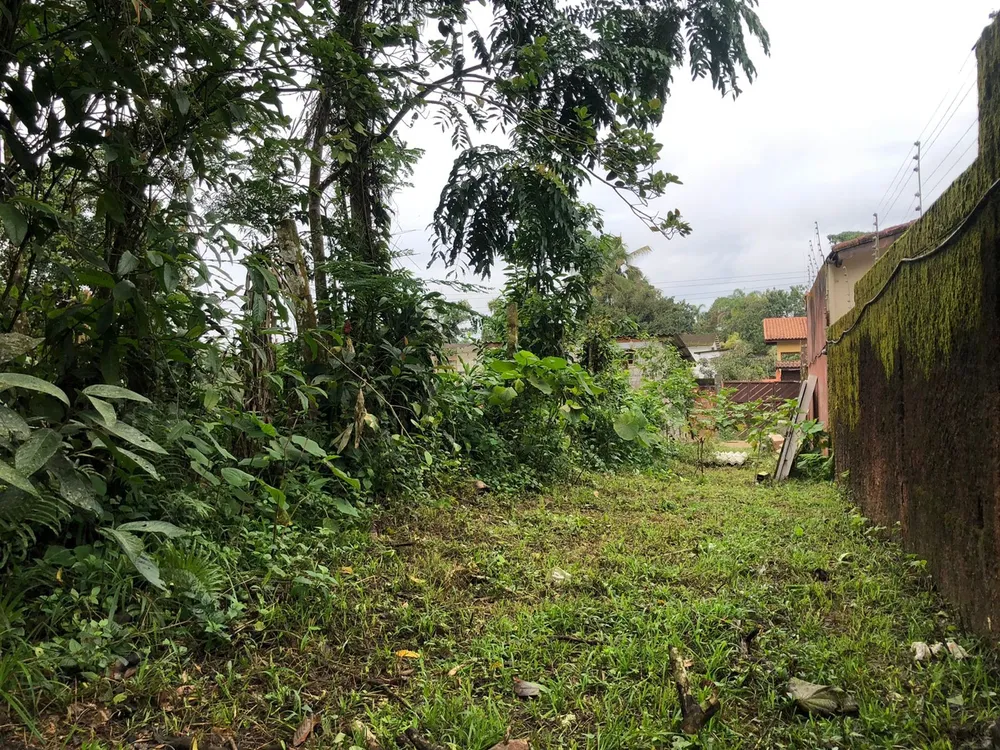 Chácara, 2 quartos, 1000 m² - Foto 10