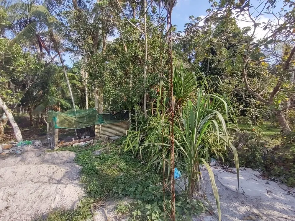 Chácara, 3 quartos, 1500 m² - Foto 10