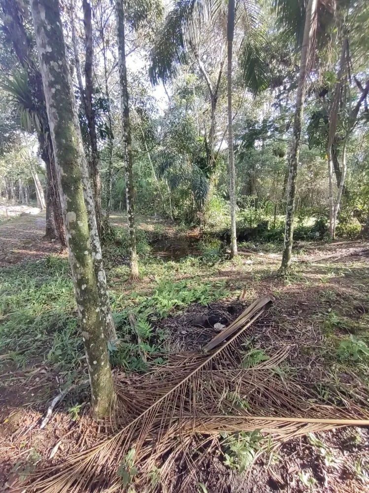 Chácara, 3 quartos, 1500 m² - Foto 20
