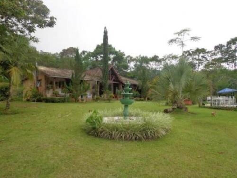 Chácara, 4 quartos, 4 hectares - Foto 1