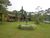 Chácara, 4 quartos, 4 hectares - Foto 1