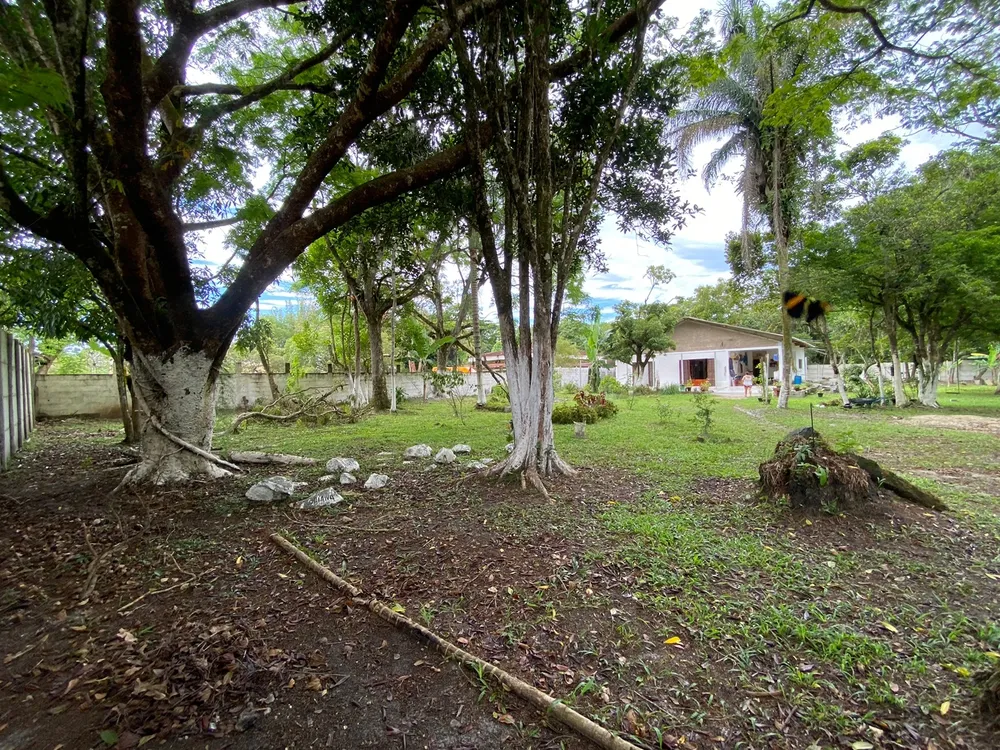 Chácara, 3 quartos, 7000 m² - Foto 10