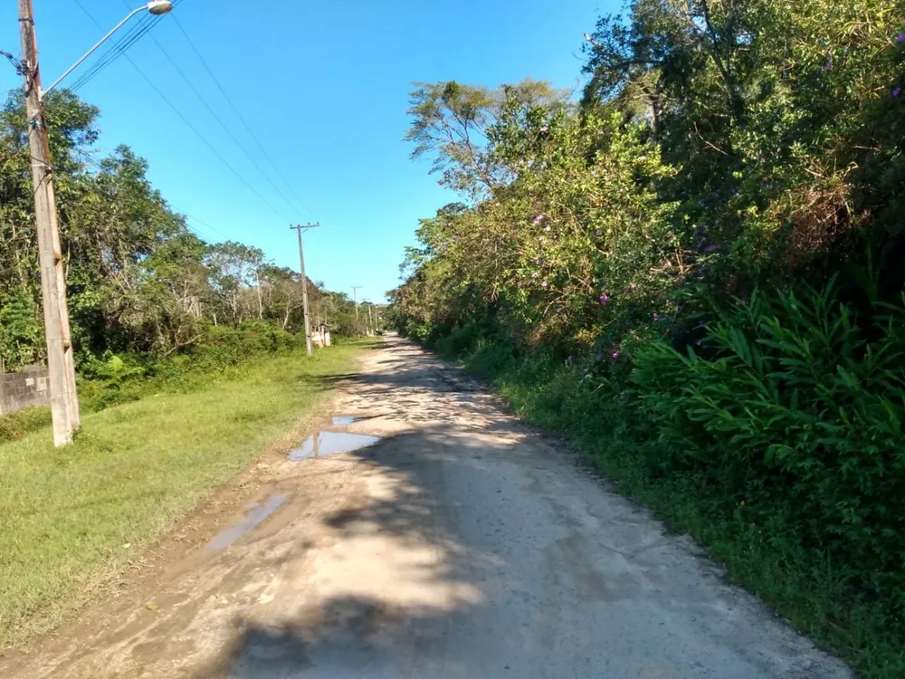 Chácara, 2 quartos, 1600 m² - Foto 12