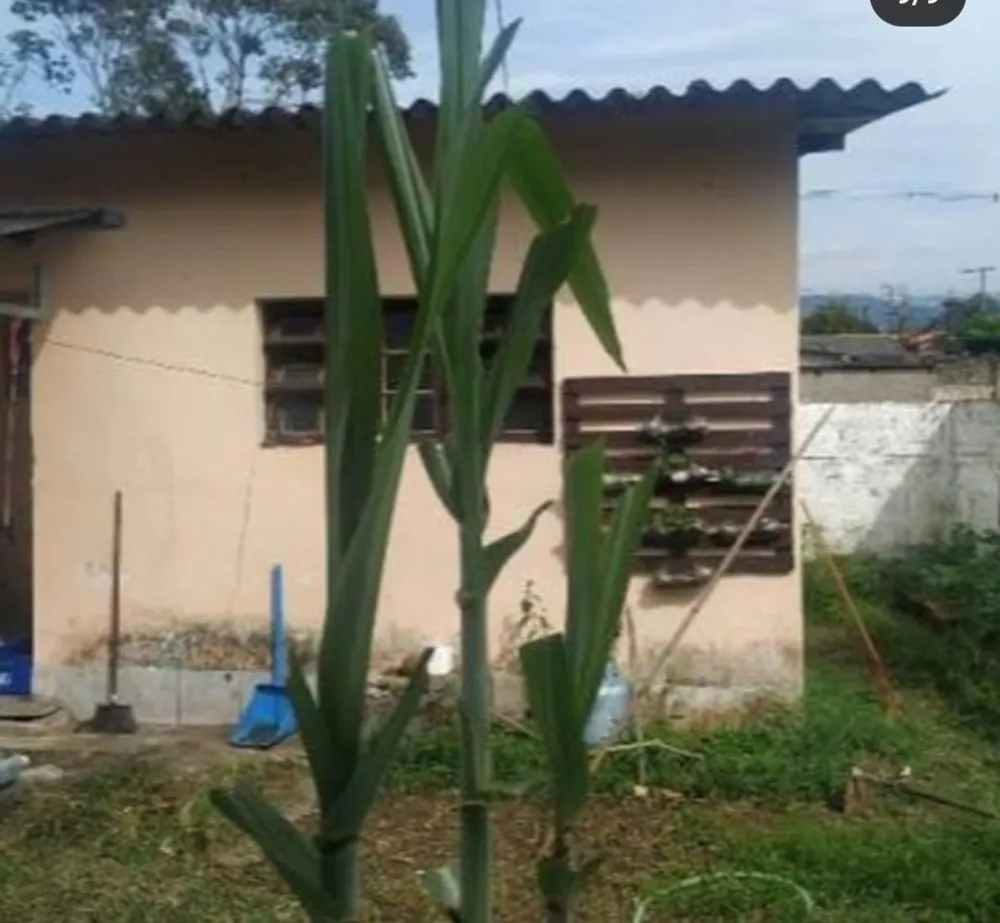 Loja-Salão, 250 m² - Foto 6