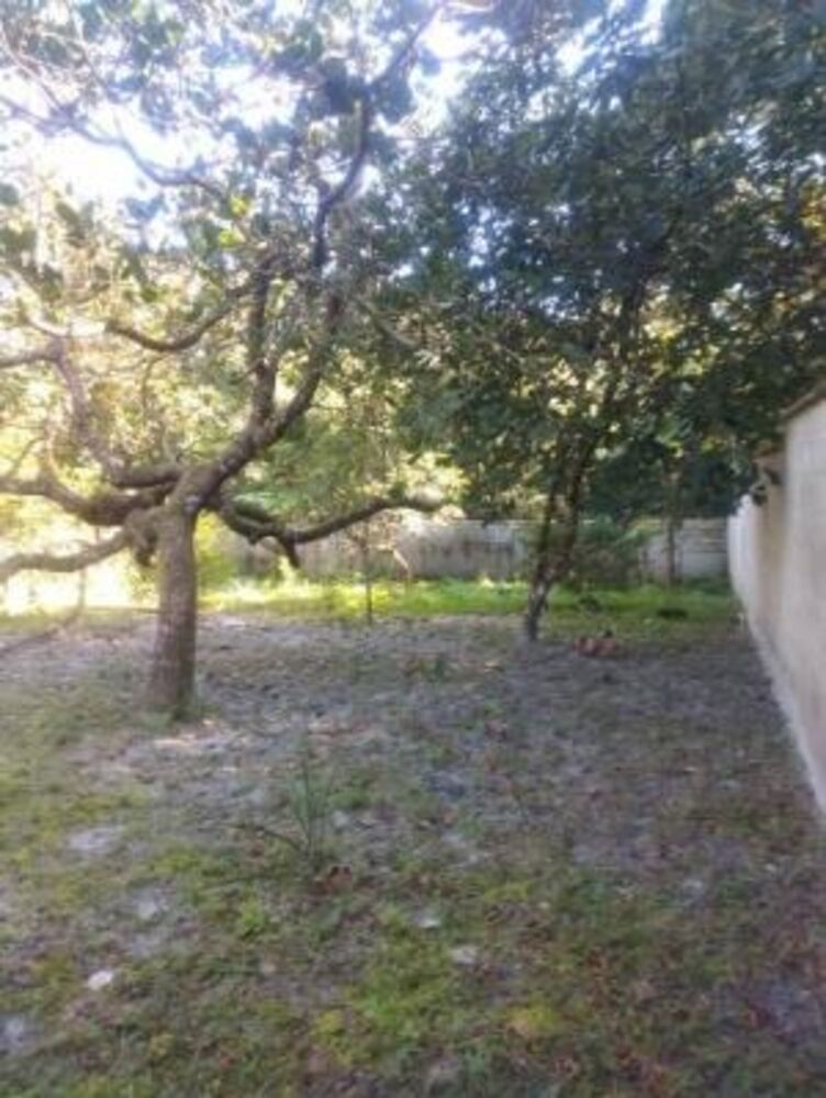 Chácara, 2 quartos, 1775 m² - Foto 15